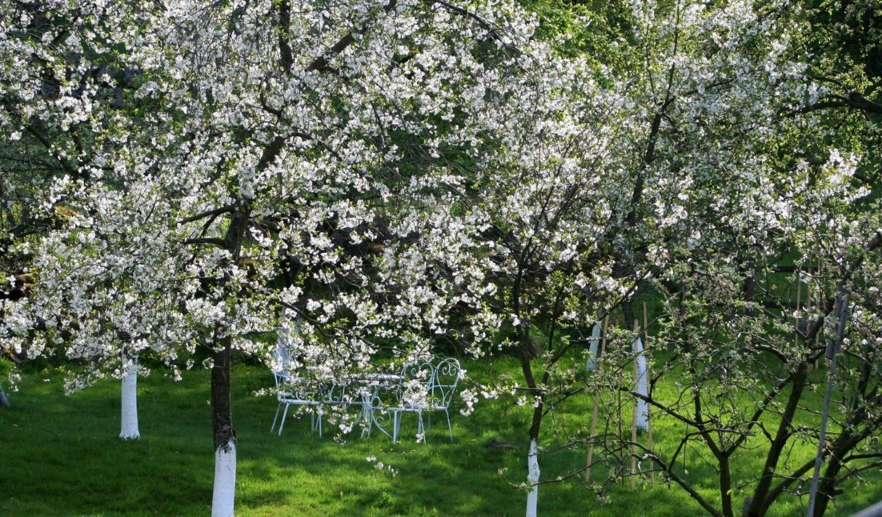 Hotel Lavendowo Piechowice  Zewnętrze zdjęcie
